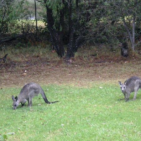 Wombatalla Kangaroo Valley Exterior photo